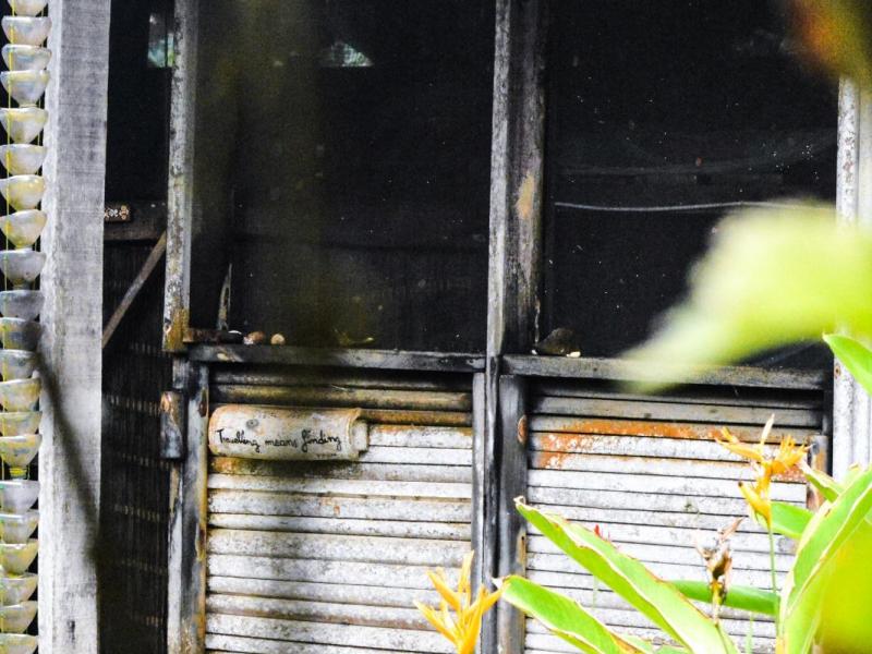 Introducing Escape 3 Points: a Sustainable Eco-Lodge in Southwestern Ghana with Akwasi&nbsp;Mclaren